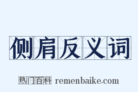 侧肩反义词是什么意思的图片